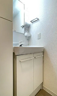 スカイコート板橋大山の洗面所