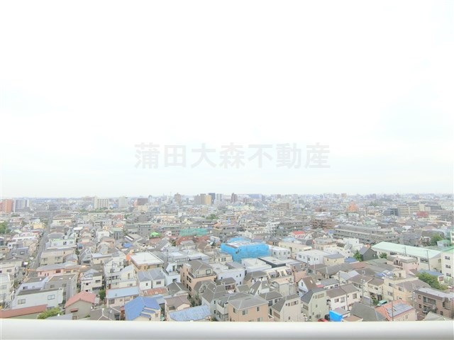 パインコート梅屋敷の展望|展望