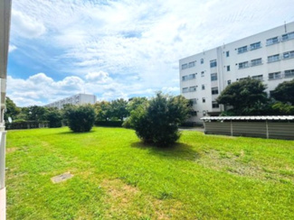 【展望】 | 多摩川住宅ハ棟 | バルコニーからの眺望です。1階住戸ですが多摩川住宅の緑溢れる景観が望めます♪