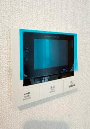 Pine Courtのセキュリティ|モニター付インターホン