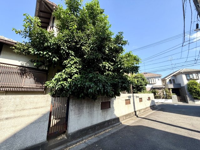 練馬区南大泉6丁目　南向き角地含む新築分譲地全2区画の前面道路含む現地写真