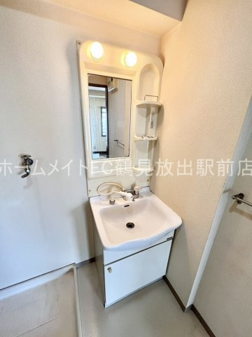 大阪市鶴見区横堤１丁目の賃貸マンションの独立洗面台