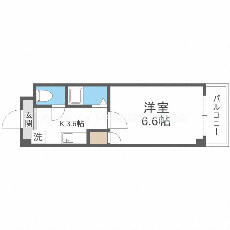 ドエル南本町の間取り