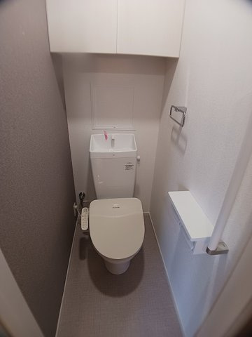 グラン・メゾン飛田Ｂのトイレ|トイレも気になるポイント