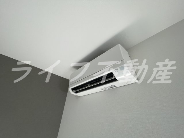 D porta Alegriaの設備