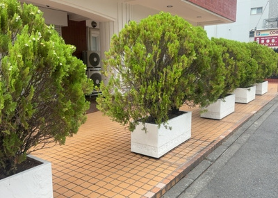 【庭】 | スターハイツ相模大野駅前 | 物件によっては、入居者が個人的に使用できる専用庭がついているものもあります。また、住宅の中にある土間の部分を庭と呼ぶこともあります。庭の用途は住む人によって変わり、それによってデザインもさまざまです。