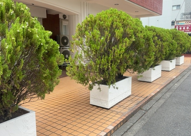 【庭】 | スターハイツ相模大野駅前 | 物件によっては、入居者が個人的に使用できる専用庭がついているものもあります。また、住宅の中にある土間の部分を庭と呼ぶこともあります。庭の用途は住む人によって変わり、それによってデザインもさまざまです。