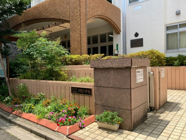 ビーロット千駄木レジデンスの周辺|文京区立汐見小学校 263m
