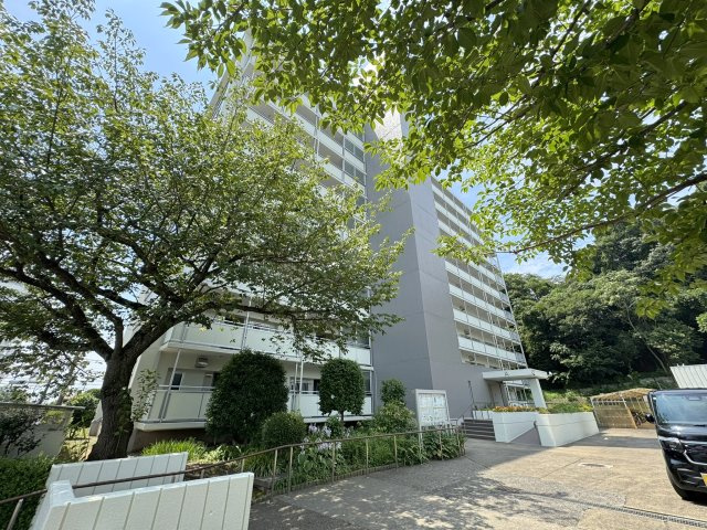 取手中央タウン　高層住宅A棟の外観|エントランスアプローチ