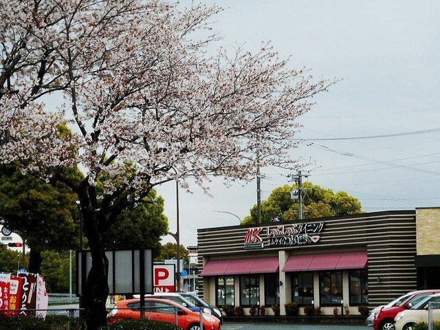 ユーフォリアｂの周辺|ＭＫレストラン桜木店まで200m