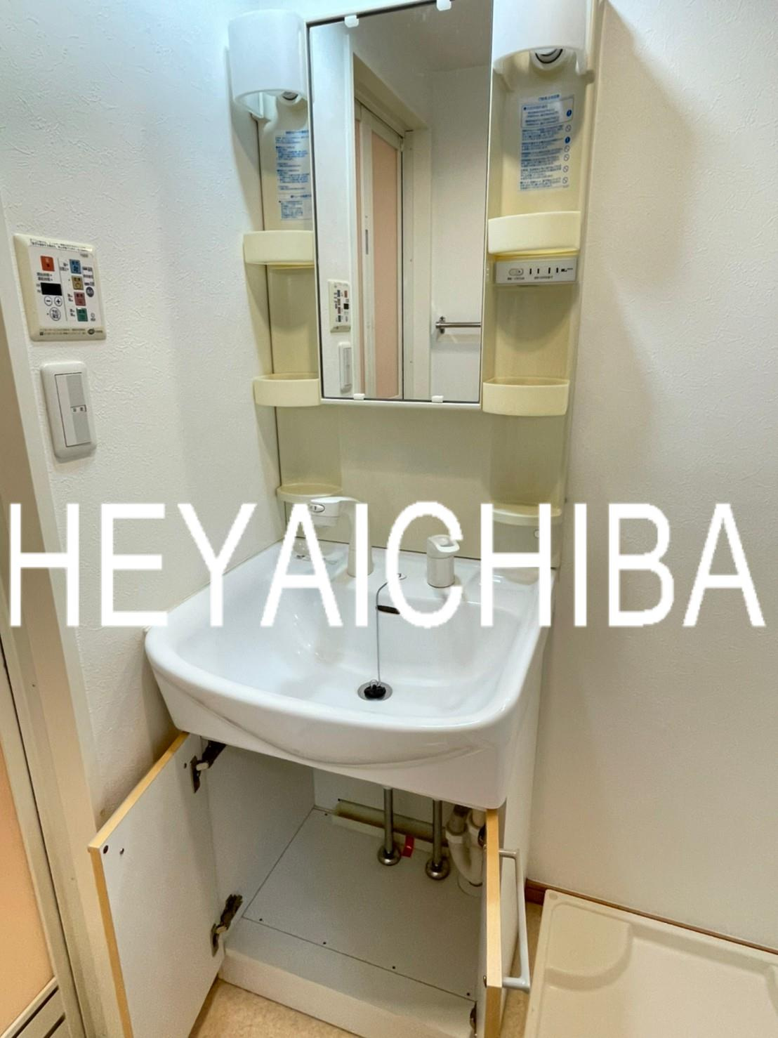 エクセリア秋葉原の洗面所