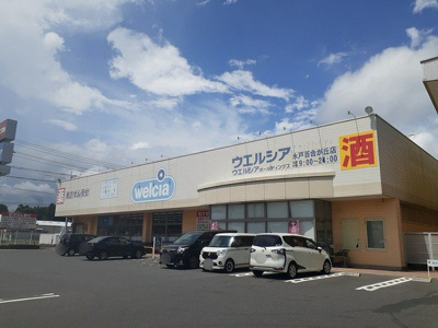 【周辺】 | ヒルズ　フォーリスト　Ａ | ウエルシア　水戸百合が丘店まで850m