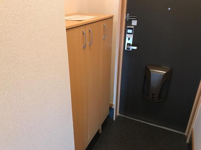 グリーンハイム新守山の収納|下駄箱