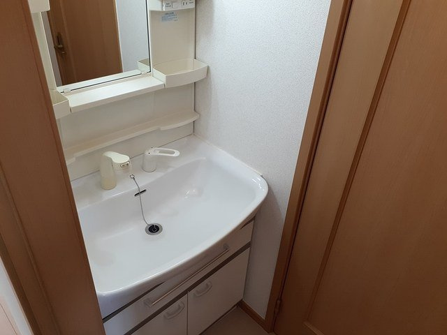 グリーンヴィラージュⅡＢの洗面所