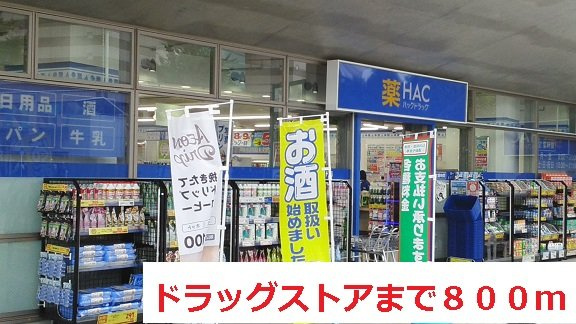 エレガンツァ青葉台の周辺|ドラッグストアまで800m