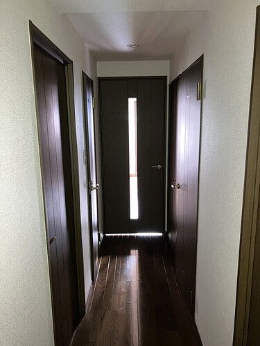 レクセルプラザ西川口のその他|廊下※2026年8月の写真