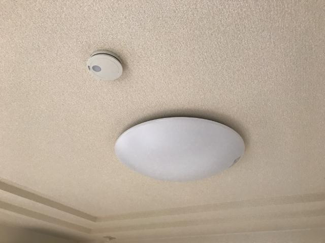 ルミナスハイムⅡの設備|照明器具