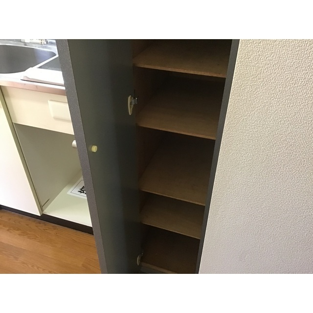 日神パレステージ上石神井第2の内装