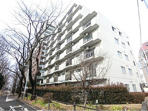 ライオンズプラザ花小金井の外観|建物外観※前回募集時2022年2月の写真