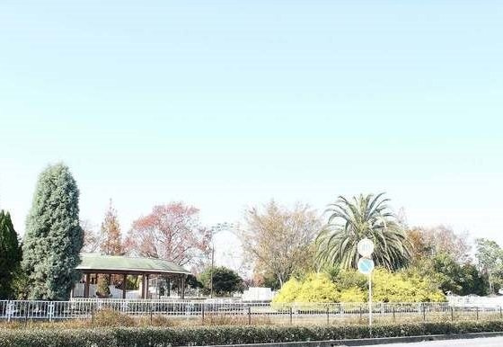 【周辺】 | ドミール赤松 | 堀内公園まで2900m