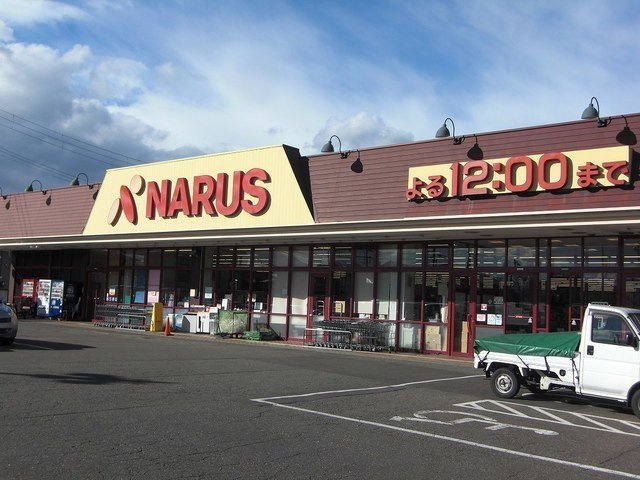 グランデールの周辺|ナルス鴨島店まで1200m