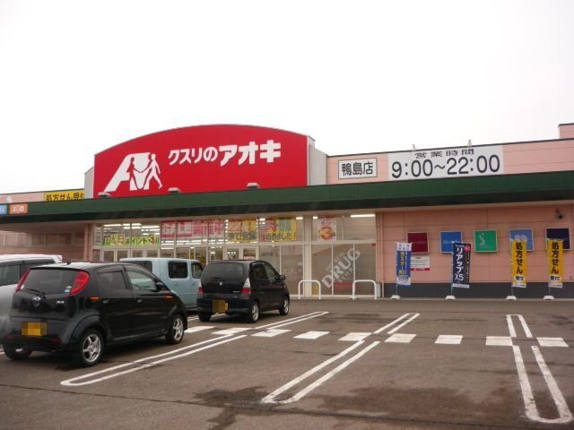 グランデールの周辺|クスリのアオキ鴨島店まで720m