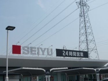 グランドゥールＨの周辺|西友松河戸店まで240m