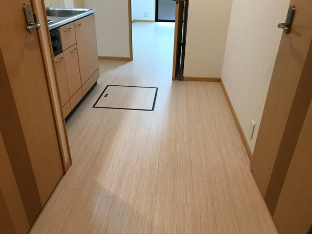 ドマーニ壱番館の内装|廊下