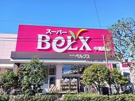 プルメリアの周辺|ベルクスまで700m
