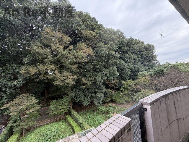 ドゥムールＮＹ２１の展望