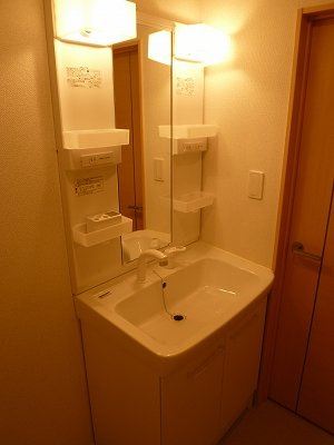 カーサグランデⅢの洗面所