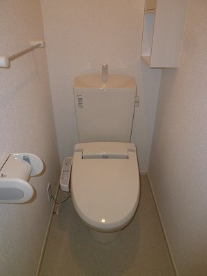 カーサグランデⅢのトイレ