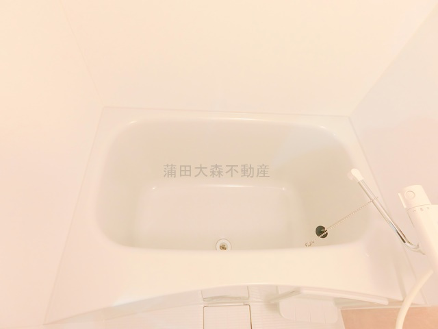 ブルージュ大田六郷の浴室