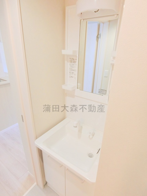 ブルージュ大田六郷の洗面所