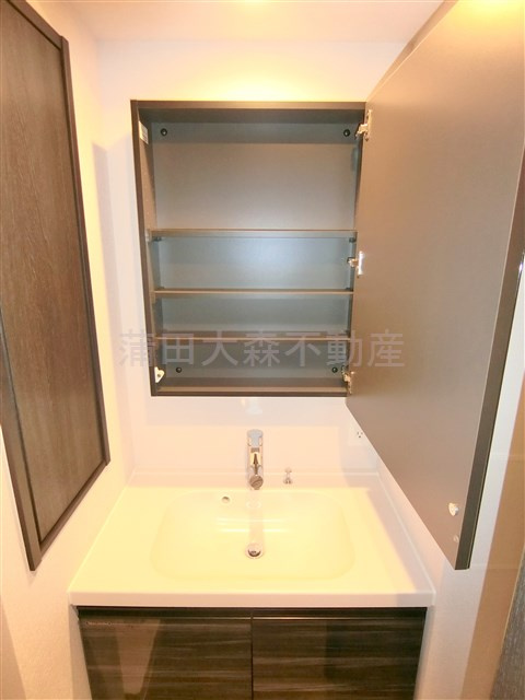 HILLTOP南蒲田(ヒルトップミナミカマタ)の洗面所