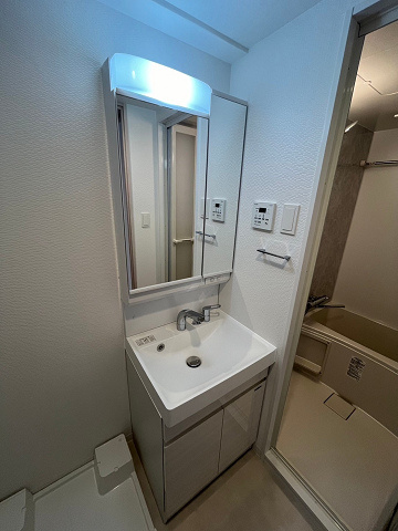 S-RESIDENCE難波大国町Tresの洗面所