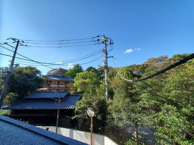 ベストクリアの展望