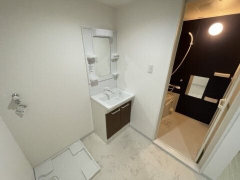 テラスレジデンス市川の洗面所