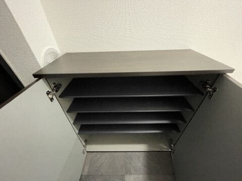 テラスレジデンス市川の玄関