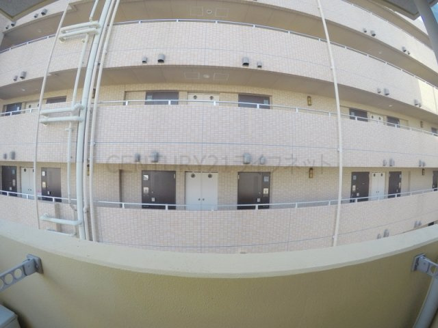 【展望】 | ウィルドゥ新大阪エス1