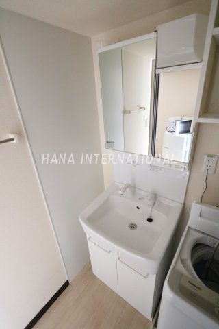 レオネクストマーメゾンの洗面所