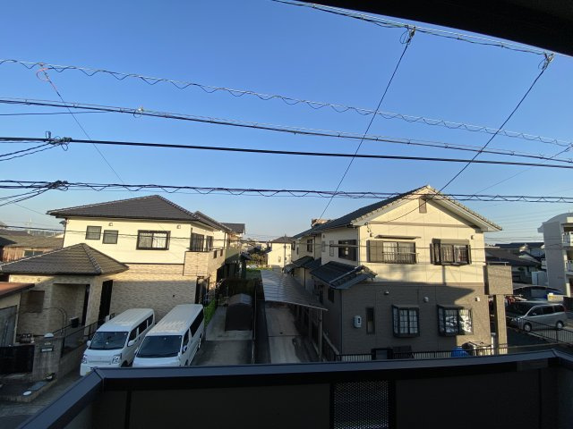 フラリッシュ・ウッドの展望