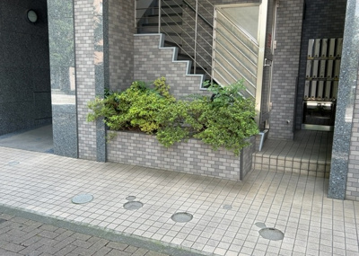 【中庭】 | ゼファー西八王子 | マンション敷地内の中庭・共用スペース写真です。全部委託管理（巡回）がなされており、丁寧に整備された美しい住空間が維持されています。風通しの良さや空間のゆとりを現地見学で実感していただけます。