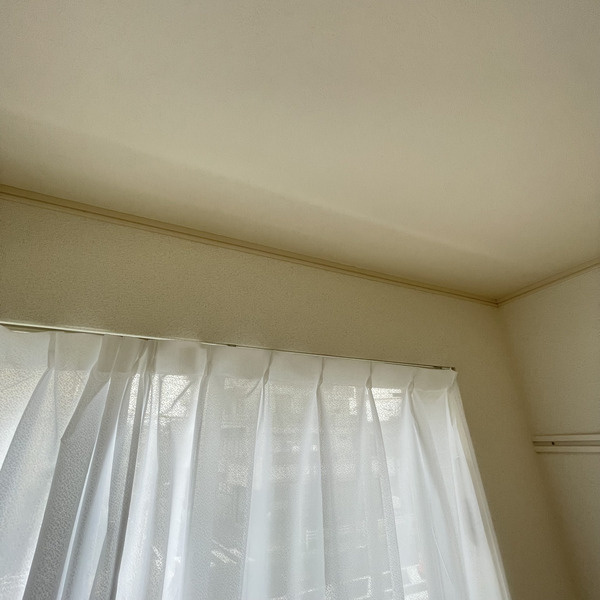 シャンテ堀切菖蒲園Ⅱのその他
