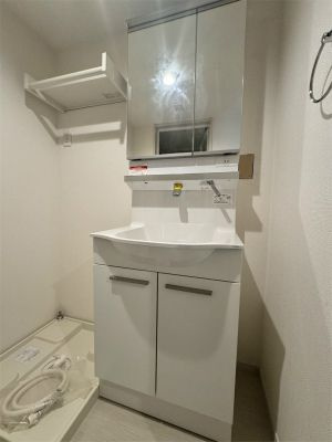 フェリス西新井の洗面所
