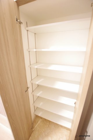 スプランディッド中之島ウエスト　仲介手数料無料の収納