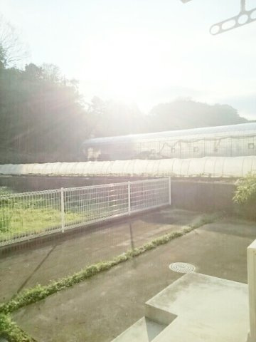 お庭の付いた物件です
