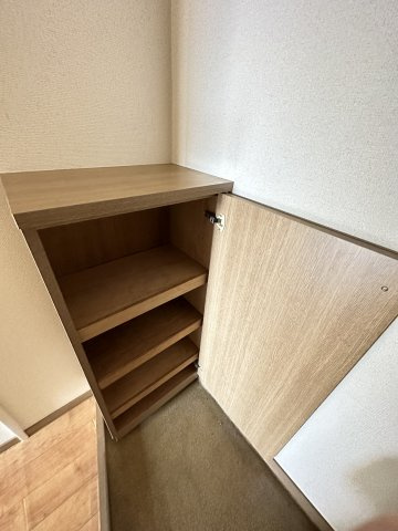 落ち着いた玄関です