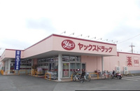 ヤックスまで3100m