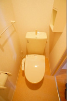 落ち着いた色調のトイレです